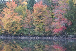 New York Oct 2013 049